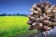 Unique Vietnam Tour 14 Days 13 Nights