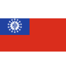 flag vn