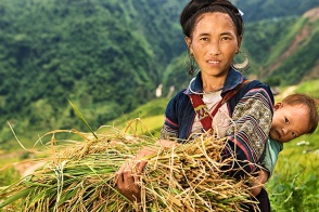 Halong Bay and Sapa Package Trip 7 Days 6 Nights 