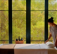 amanoivietnam_-_wellness_spa_treatment