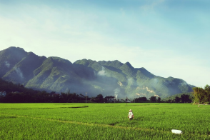 VIETNAM, RIZIÈRES ET PLAGE DE QUY NHON