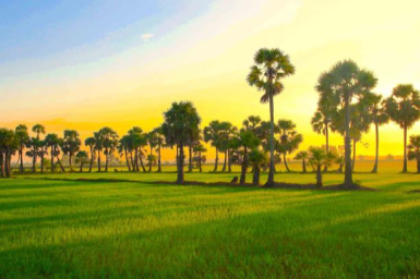 ANGKOR, RIZIÈRES ET NATURE EXCEPTIONNELLE