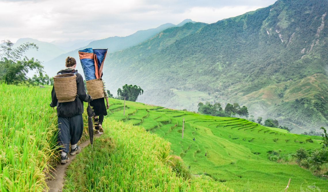 Day 6: Lao Cai - Sapa - Cat Cat Village - Y Linh Ho Village - Lao Chai Village - Ta Van Village - Sapa (B; L) (Breakfast, Lunch)