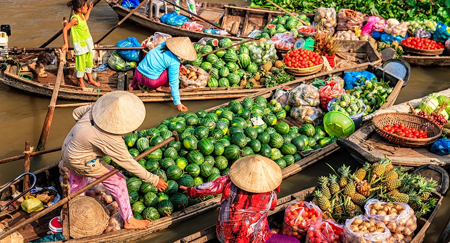 Day 3: Ben Tre - Ho Chi Minh City (B; L) (Breakfast, Lunch)