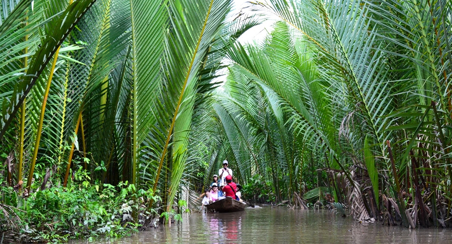 Day 16: Ben Tre - Can Tho (130 Km – 3h00) (B;L) (Breakfast, Lunch)